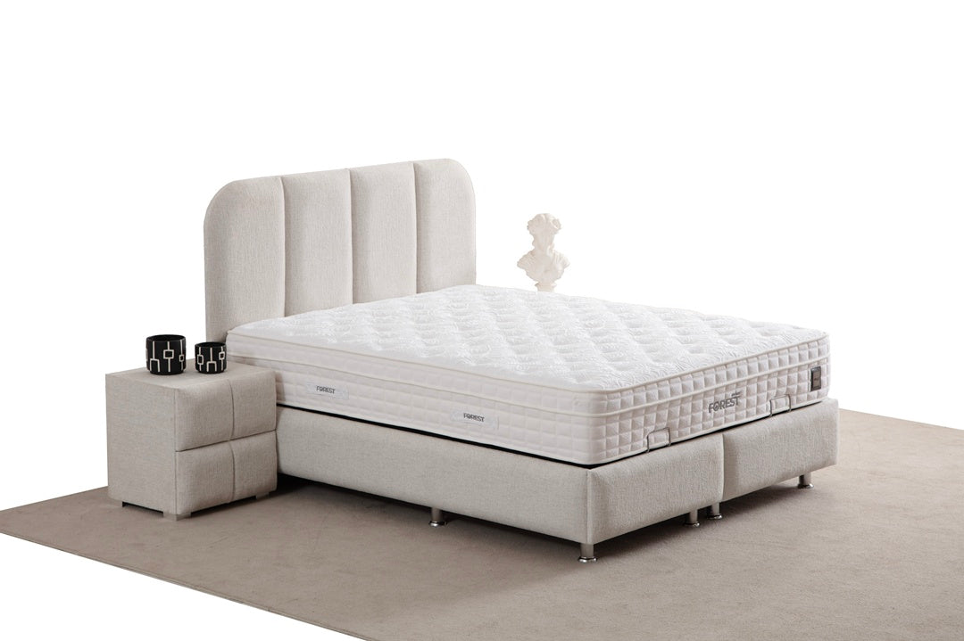 Lit Coffre ELEN BLANC CASSÉ - Chenille
