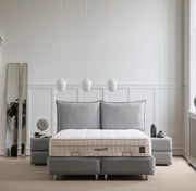 Lit Coffre MALIA GRIS - Velours