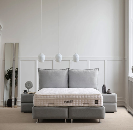 Lit Coffre MALIA GRIS - Velours