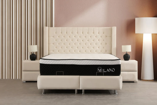 Lit Coffre BIANCA BLANC CASSÉ - Velours