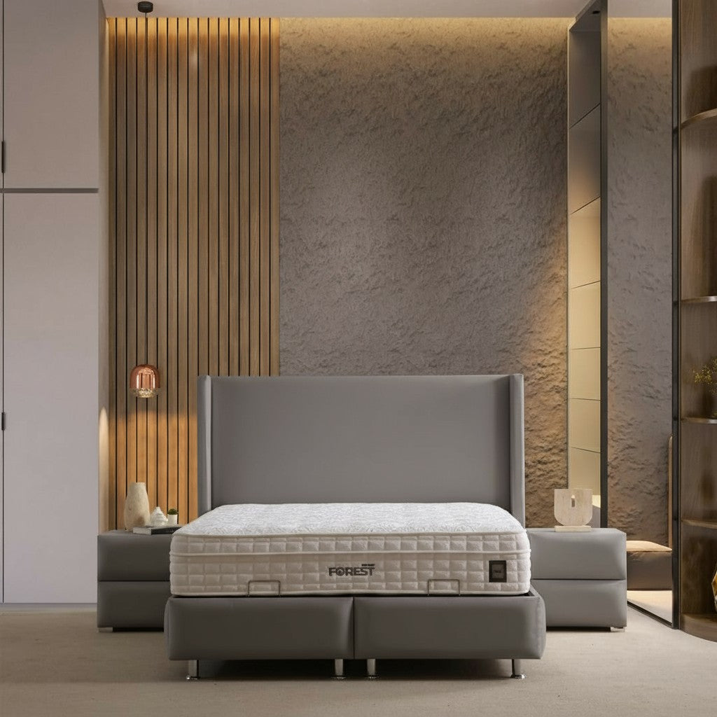 Lit Coffre COCO GRIS - Velours