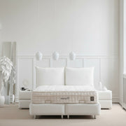 Lit Coffre MALIA BLANC CASSÉ - Velours