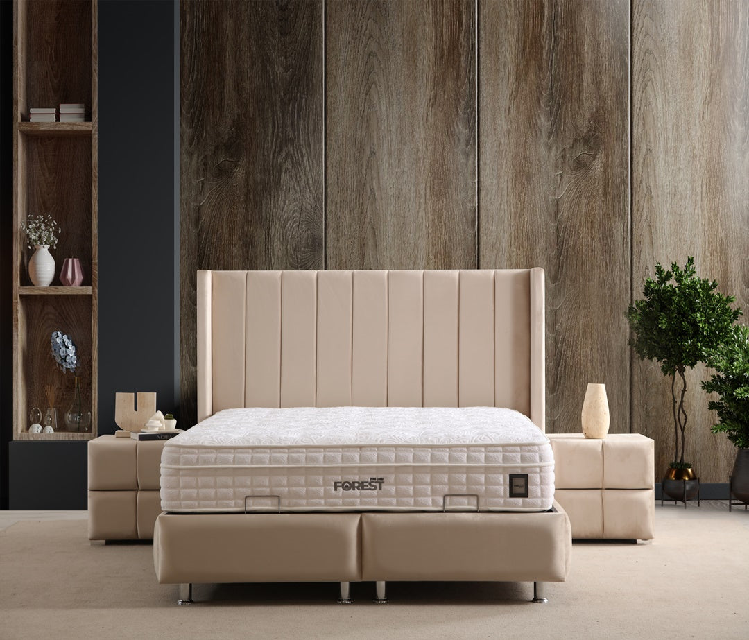 Lit Coffre SANA BEIGE - Velours