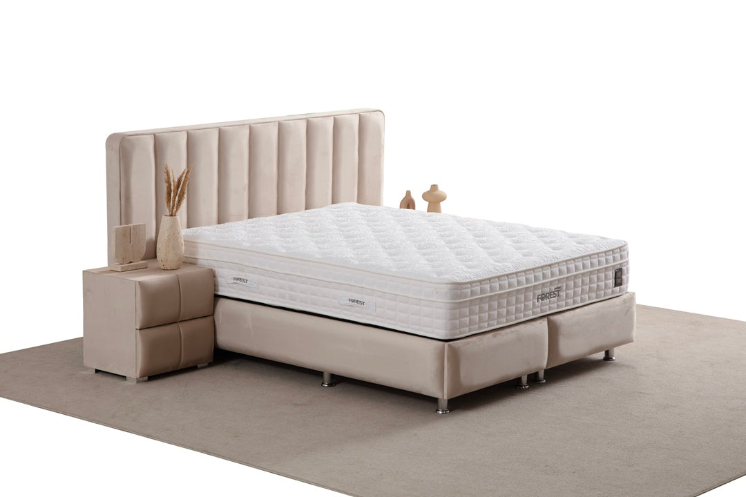 Lit Coffre DEFNE BEIGE - Velours