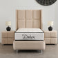 Lit Coffre 1 Place RIO BEIGE - Velours