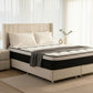 Lit Coffre ALMA BEIGE - Velours