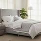 Lit Coffre COCO GRIS - Velours