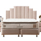 Lit Coffre POLO BEIGE - Velours