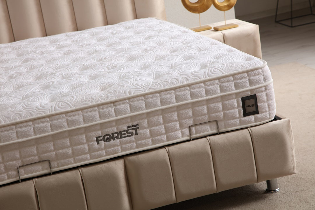 Lit Coffre POLO BEIGE - Velours