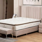 Lit Coffre SANA BEIGE - Velours