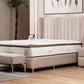 Lit Coffre SANA BEIGE - Velours