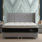 Lit Coffre ALMA GRIS - Velours