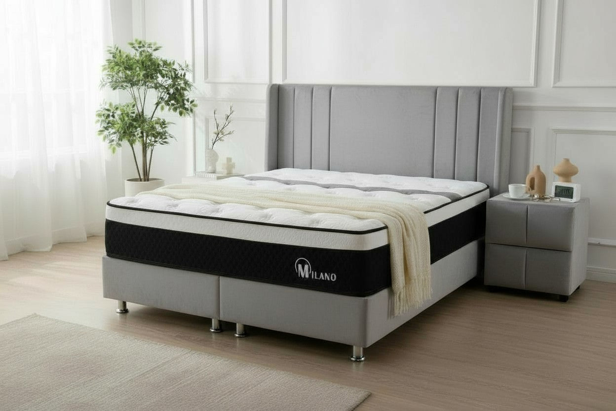 Lit Coffre ALMA GRIS - Velours