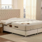 Lit Coffre CAPI BEIGE - Velours